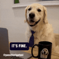 Nervous Golden Retriever GIF by Rigatoni