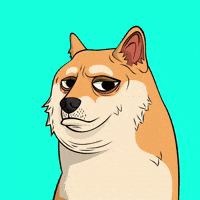 Kool Noce GIF by Doge Pound