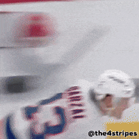 Hockey Nhl GIF