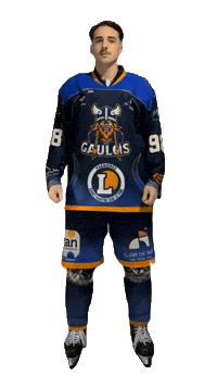 Celebration Goal Sticker by Hockey Club Châlonnais