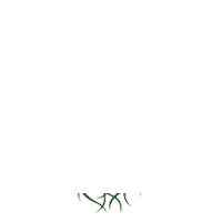 CrookedRoots flowers florals muggle crooked roots Sticker