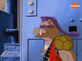 Tmnt GIF by Teenage Mutant Ninja Turtles