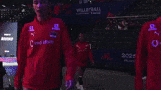 Hande Baladin Cat GIF
