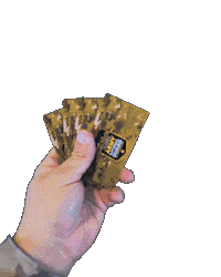 Army National Guard Fps Sticker by Only_Reilly