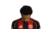 Eintracht Frankfurt Sticker by Bundesliga