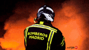 Fire Smoke GIF by Formación Ninja