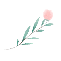 Wendy_design bellflower campanule 桔梗 Sticker