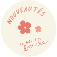 Nouveaute Sticker by La Belle Boucle