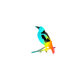 Rainbow Flying Sticker by Dinaaaaaah