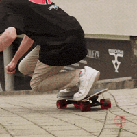 GIF by Landyachtz