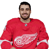 Red Wings Hockey Sticker by Detroit Red Wings