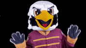 SUNYJefferson college mascot eagle hands up GIF