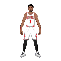 Chicago Bulls Basketball Sticker by SportsManias