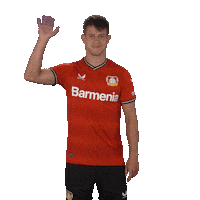 Hložek Sticker by Bayer 04 Leverkusen