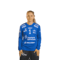 Rema1000Ligaen Sticker by Norsk Topphåndball