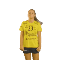 Rema1000Ligaen Sticker by Norsk Topphåndball