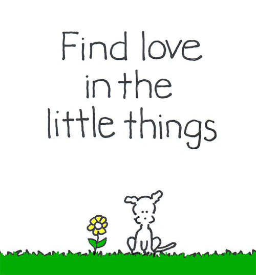 Flower Love GIF by Chippy the Dog