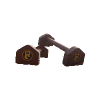 Musclesquadron crossfit gymnastics calisthenics handstand Sticker