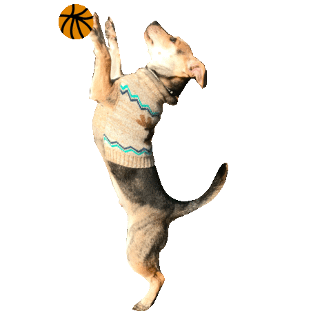 Dunkin Sticker by Simple & Sentimental