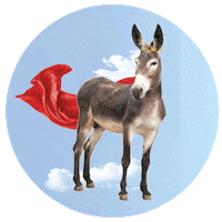 Vote Election Sticker by DLCC