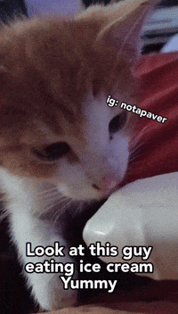 Gg Brain GIF