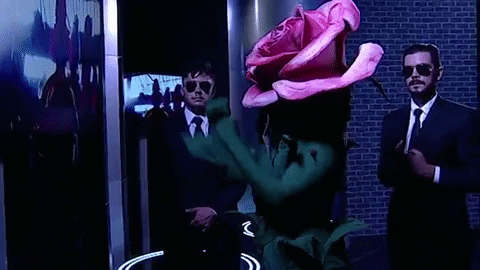 Rose GIF by Маскираният певец