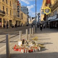 Flowers Rip GIF by Linz News