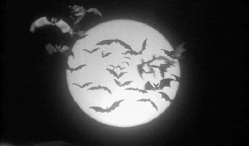 black and white moon GIF