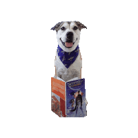 Firefly Serenity Sticker by Geekster Pets