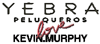 YebraPeluqueros peluqueria peinado yebra yebra peluqueros Sticker