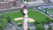 Baseball Warriors GIF by WinonaStateATH