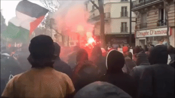 Thousands March in Paris Against Police Violence