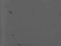 art film GIF by hoppip