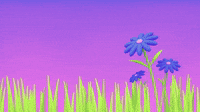 Hidden Life of Flowers