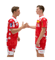 Handshake Handball Sticker by TUSEM Essen
