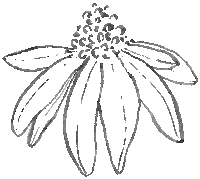 Spring Bloom Sticker