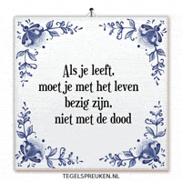 Nl Wijsheid GIF by Tegelspreuken.nl