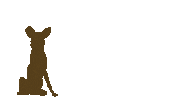 Zambiancarnivores animals lion wildlife leopard Sticker