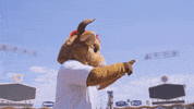 Celebrate Home Run GIF by CSUDH