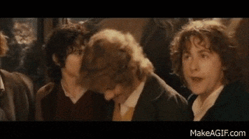 fellowship of the ring GIF