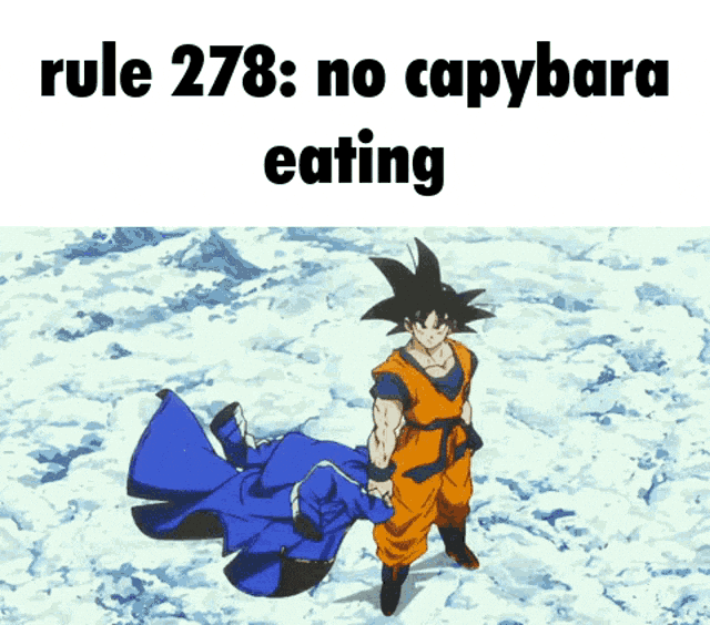 Rules Capybara GIF