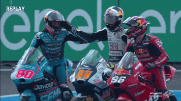 Happy Celebration GIF by MotoGP™