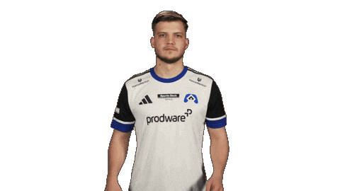 Hamburger Sv Football Sticker by Bundesliga