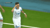 Football Футбол GIF by FC Dynamo Moscow