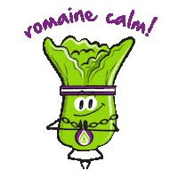Relax Salad Sticker by 80 Acres Farms