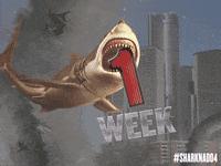#sharknado GIF by SYFY