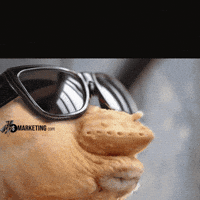 Yesido GIF by FlySMarketing.com