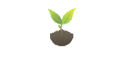 sementescerquinha plant seeds sementes cerquinha Sticker