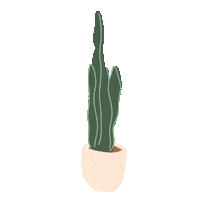 Summer Travel Sticker by Bash Clothing