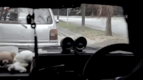 GIF by saysdotcom